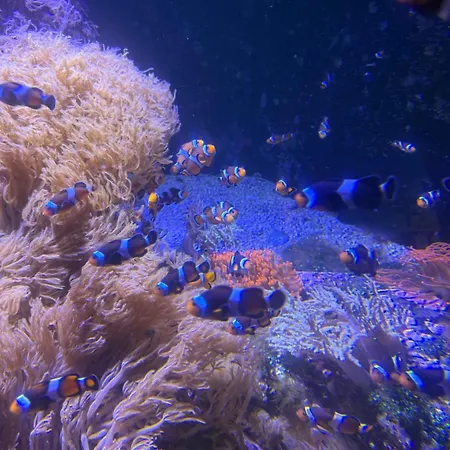 Kabana بيت للعطل